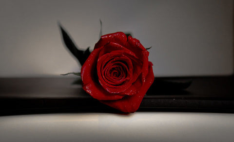 Rose laying on table.