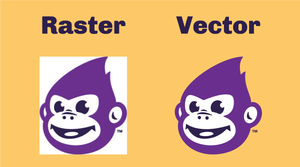 Raster vs. Vector Art Explained